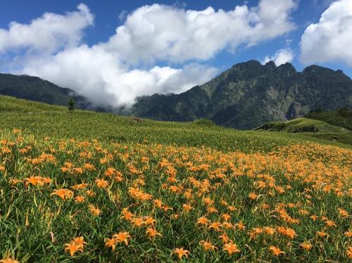 21105494 871949989621438 8092471114040659851 n