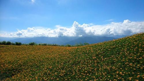 21105880 871949909621446 2205002570448546016 n