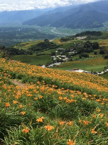 21105906 871950049621432 2389951797844983593 n