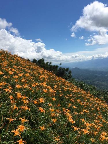 21106664 871949986288105 6823362051301467478 n