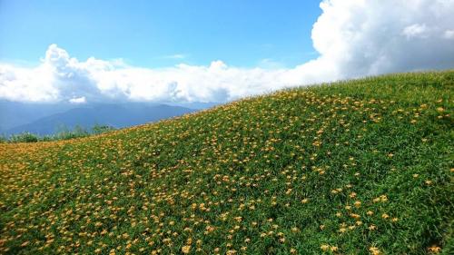 21151255 871949912954779 4363711844856092330 n