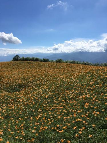 21231044 871950039621433 5772108455049215578 n